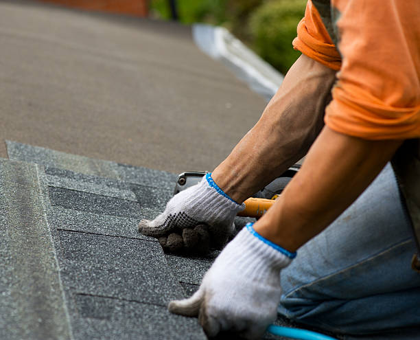 Best Local Roofing Companies  in Nashua, IA