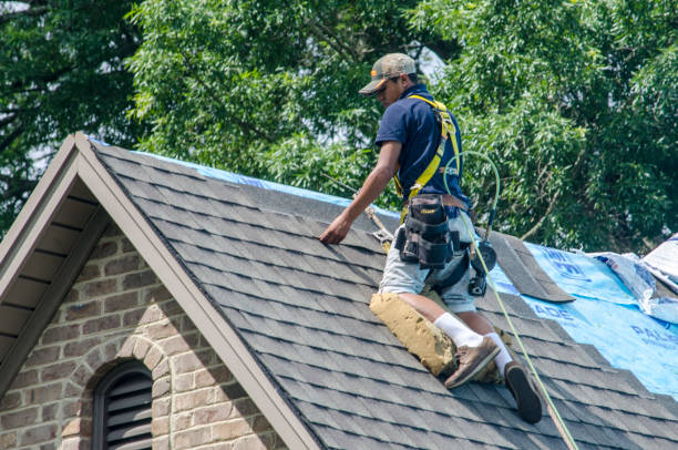 Best Roof Maintenance Services  in Nashua, IA